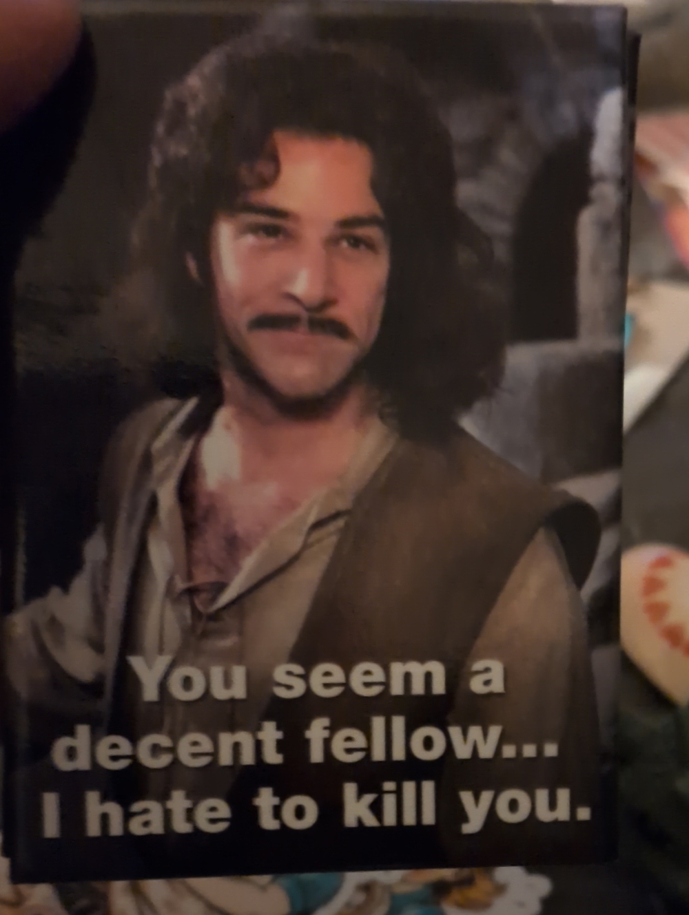 Princess Bride I Hate To Kill You  Magnet